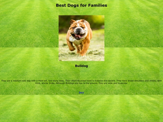 Bulldog screenshot