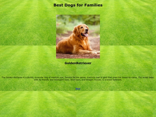 GoldenRetriever screenshot