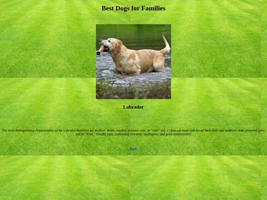 Labrador screenshot