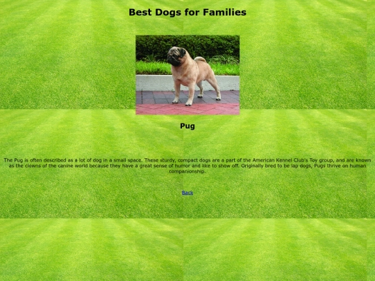 Pug screenshot
