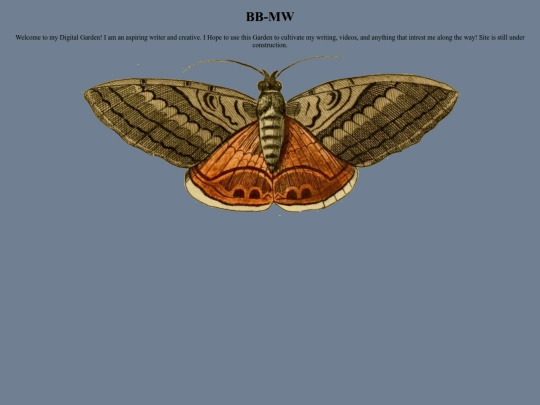 newfile screenshot