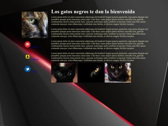 indexgato screenshot