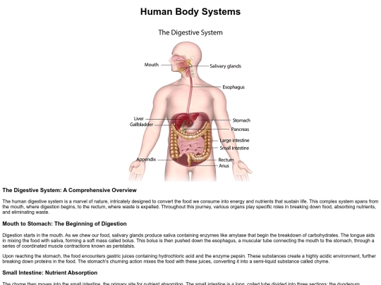 BodySystems screenshot