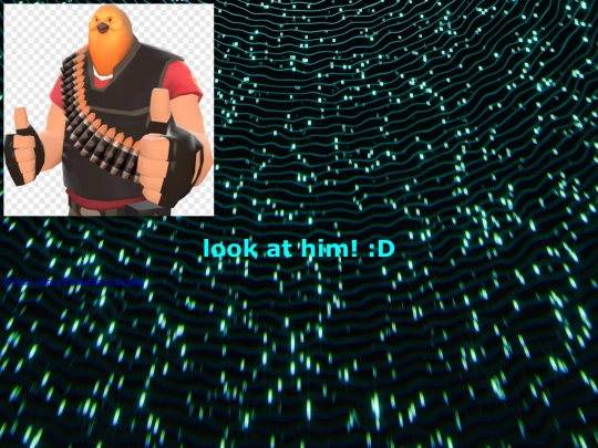 birb screenshot