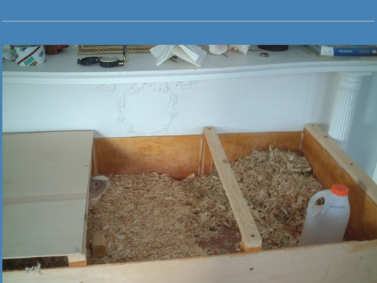 photos/pig_encl screenshot