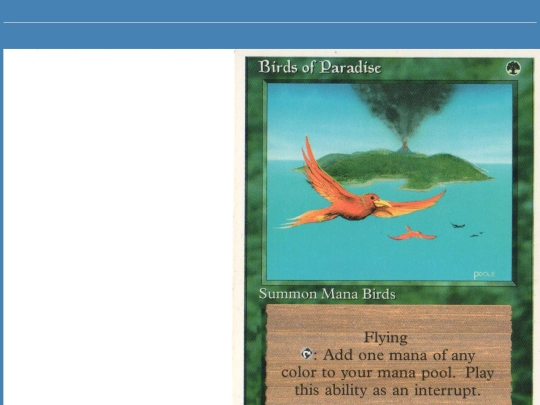 pictures/mtg screenshot