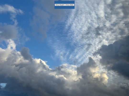 homepage screenshot