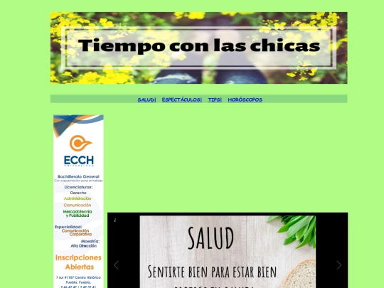 Revista screenshot