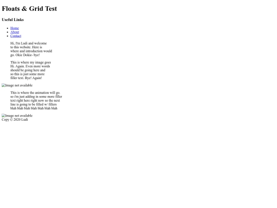 ludi_project4 screenshot