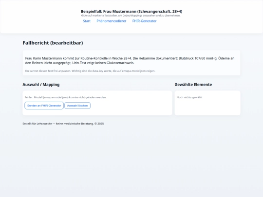 case-example screenshot