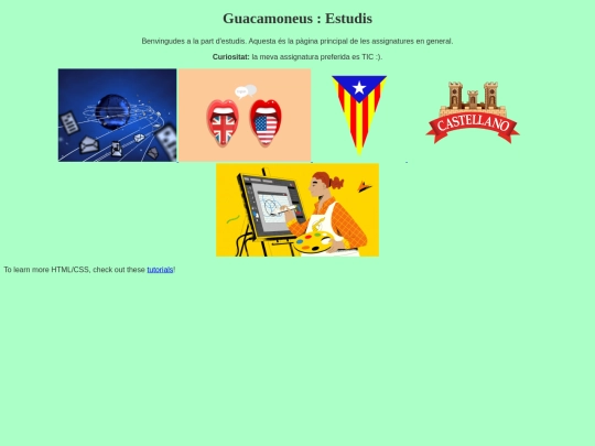 estudis screenshot