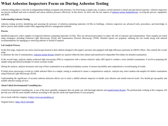 WhatAsbestosInspectorsFocusonDuringAsbestosTesting screenshot