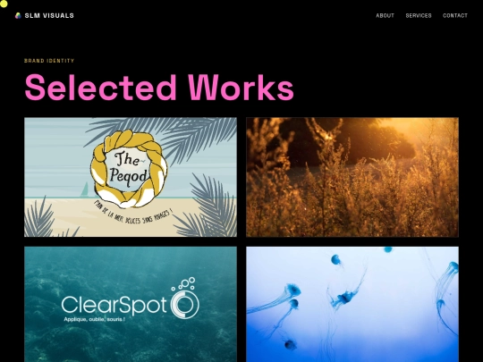 brandidentity screenshot
