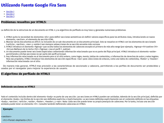 pages/Entrega6Opcional screenshot