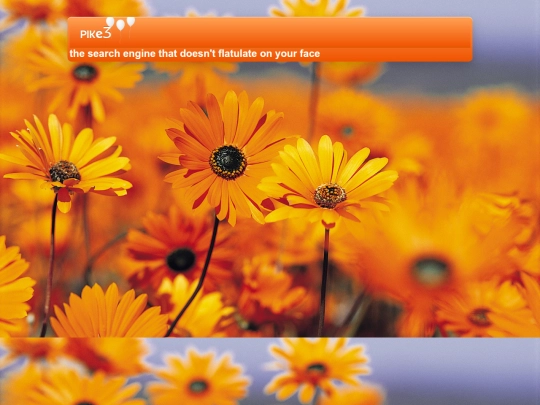 internal/ads/1 screenshot
