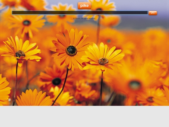 internal/design screenshot