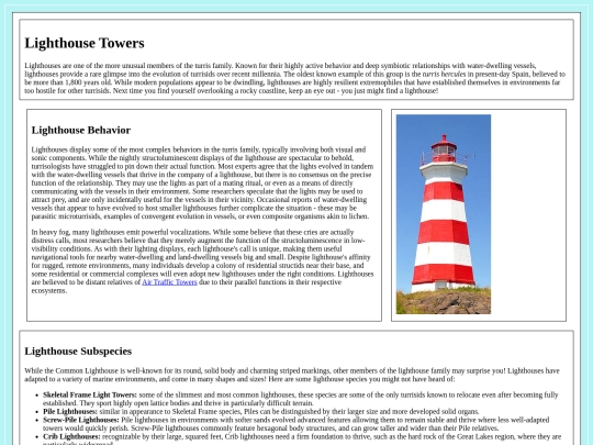 lighthouse screenshot