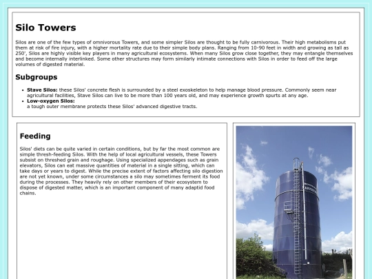 silo screenshot