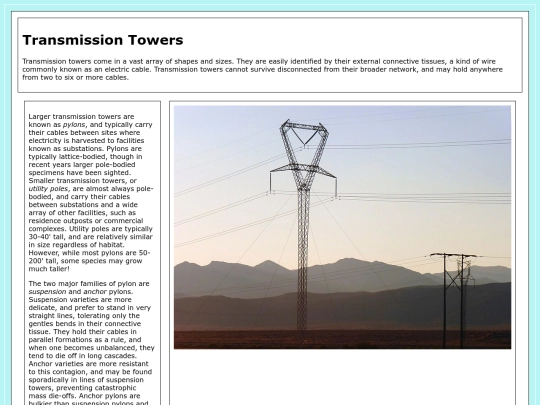 transmission screenshot