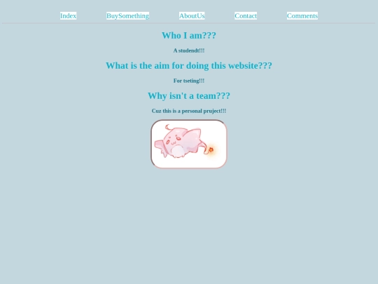 Shop/about_us screenshot