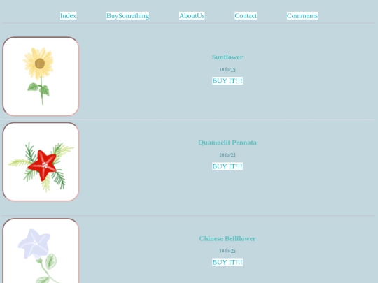 Shop/sale screenshot