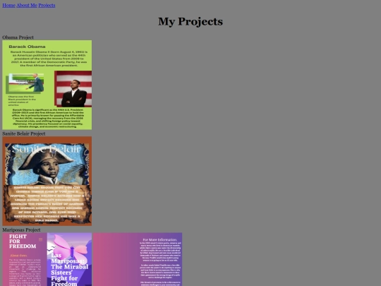 projects screenshot