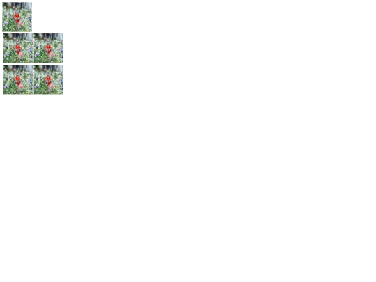 practicasdeclase/imagenes screenshot