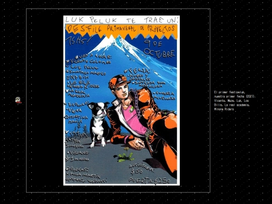 videovc screenshot