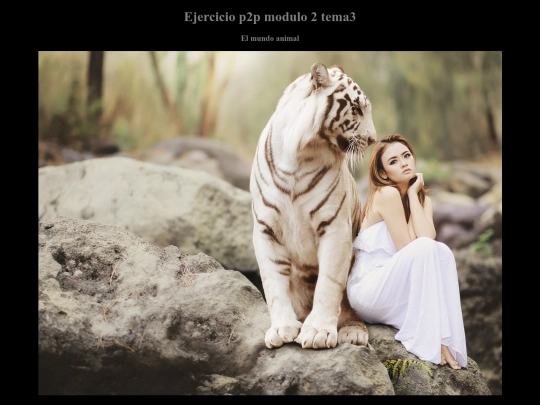 p2p-modulo2-tema3 screenshot
