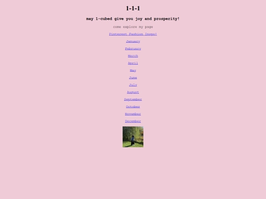 111/index111hmpage screenshot