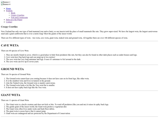 CreepyCrawlies screenshot