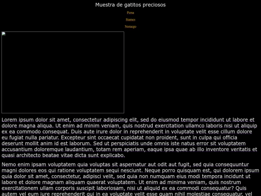examen25 screenshot