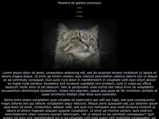 examen25/noruego screenshot
