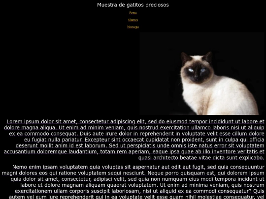 examen25/siames screenshot