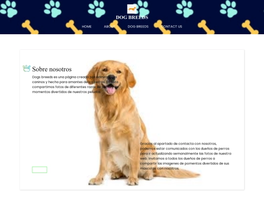 medi-html/about screenshot