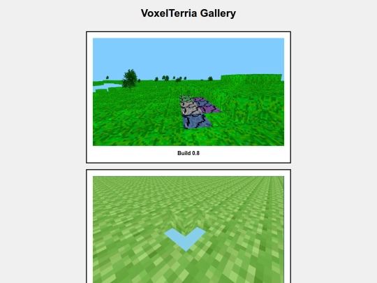 gallery/voxelgame screenshot