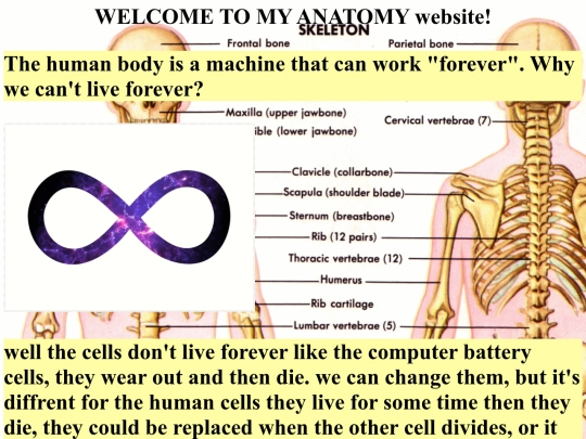 anatomy screenshot