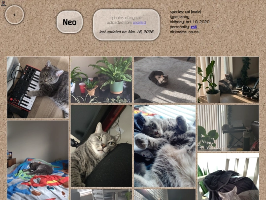 Gallery/Neo screenshot
