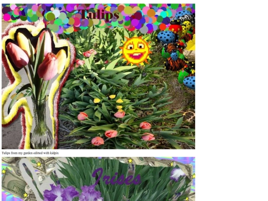 DigitalGarden screenshot