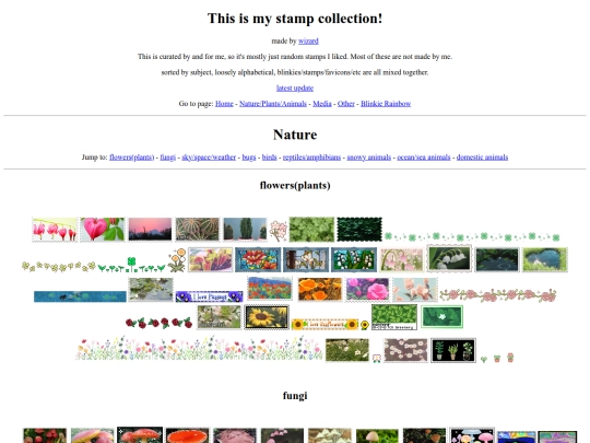 nature screenshot