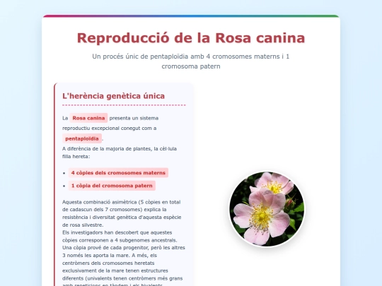 000/rosacanina screenshot
