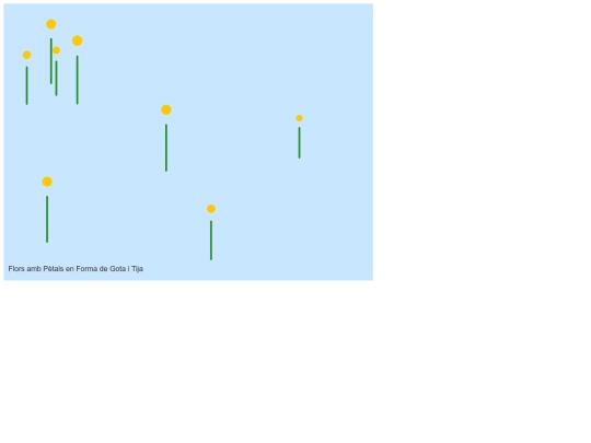 cares/classes/flor screenshot