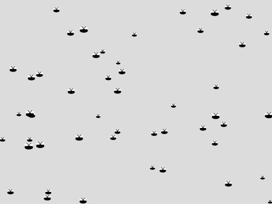 cares/mosca screenshot