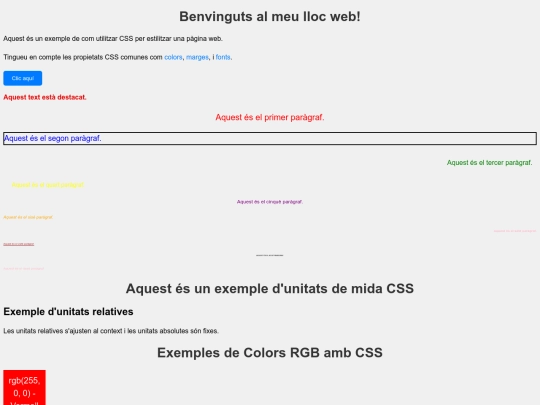 css/1 screenshot