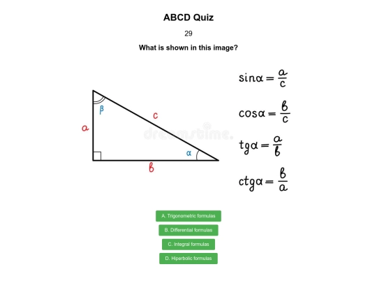 quiz/55 screenshot