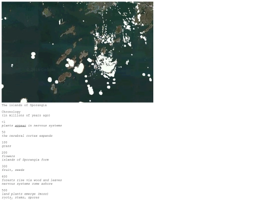 islands screenshot