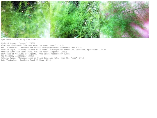 library screenshot