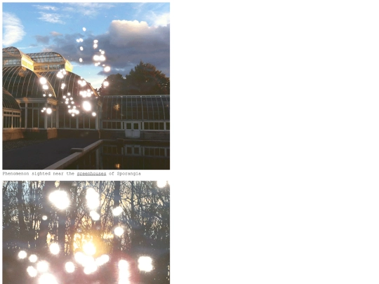 spores screenshot