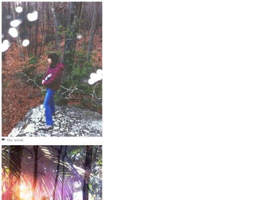 woods screenshot