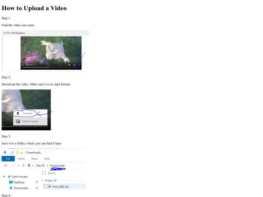 video/video screenshot